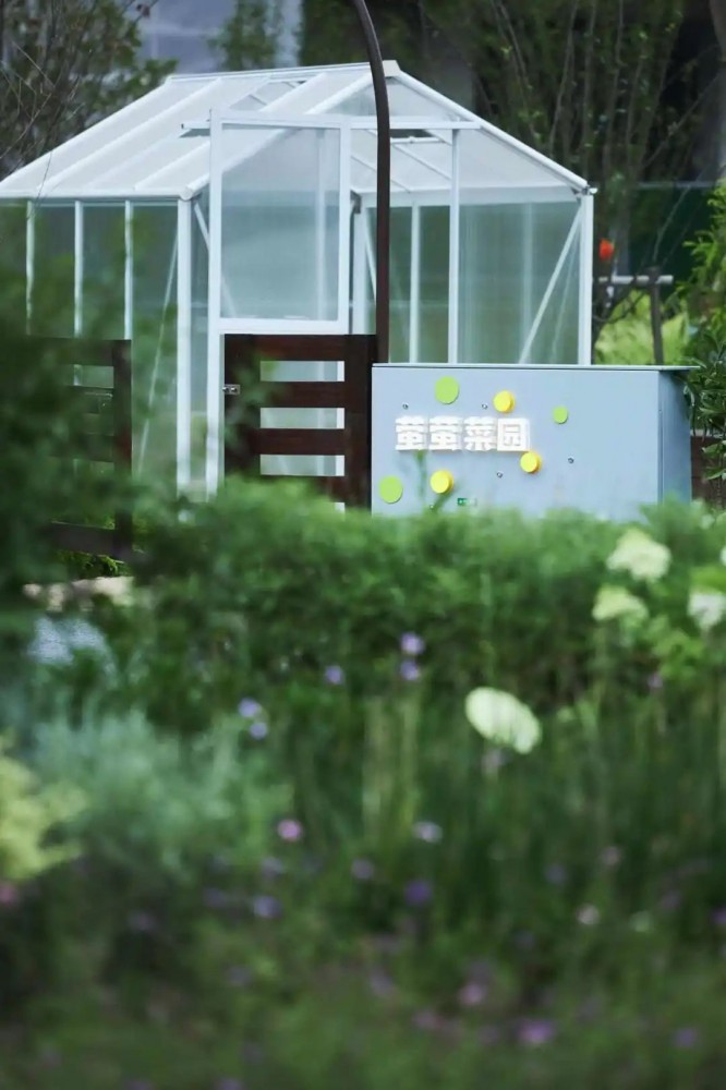 1668497973303178.jpg 1668497973303178.jpg