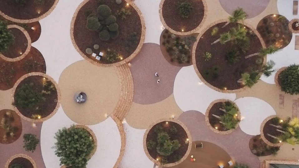 1672296882531981.jpg 1672296882531981.jpg