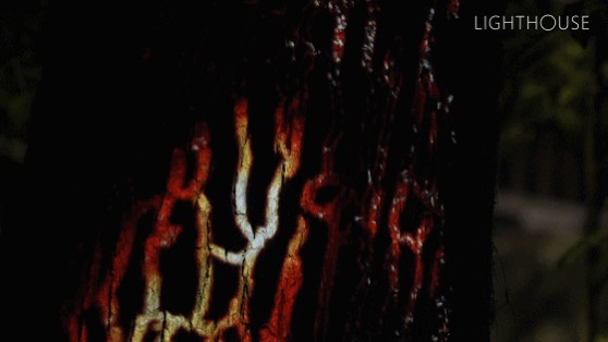 1677047710136951.gif 1677047710136951.gif