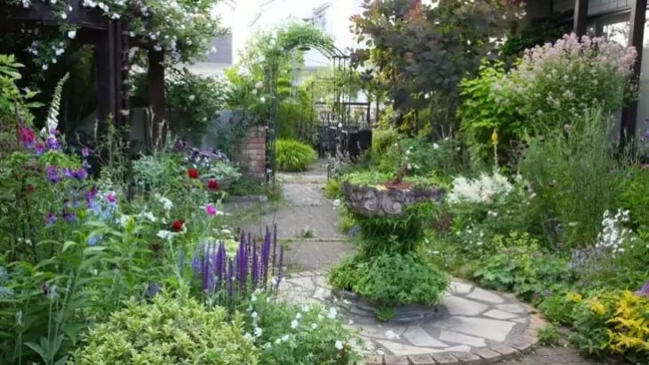 1681111891490689.jpg 1681111891490689.jpg