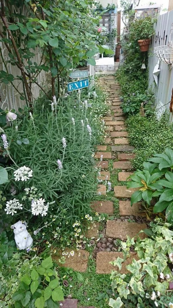 1681111940100862.jpg 1681111940100862.jpg