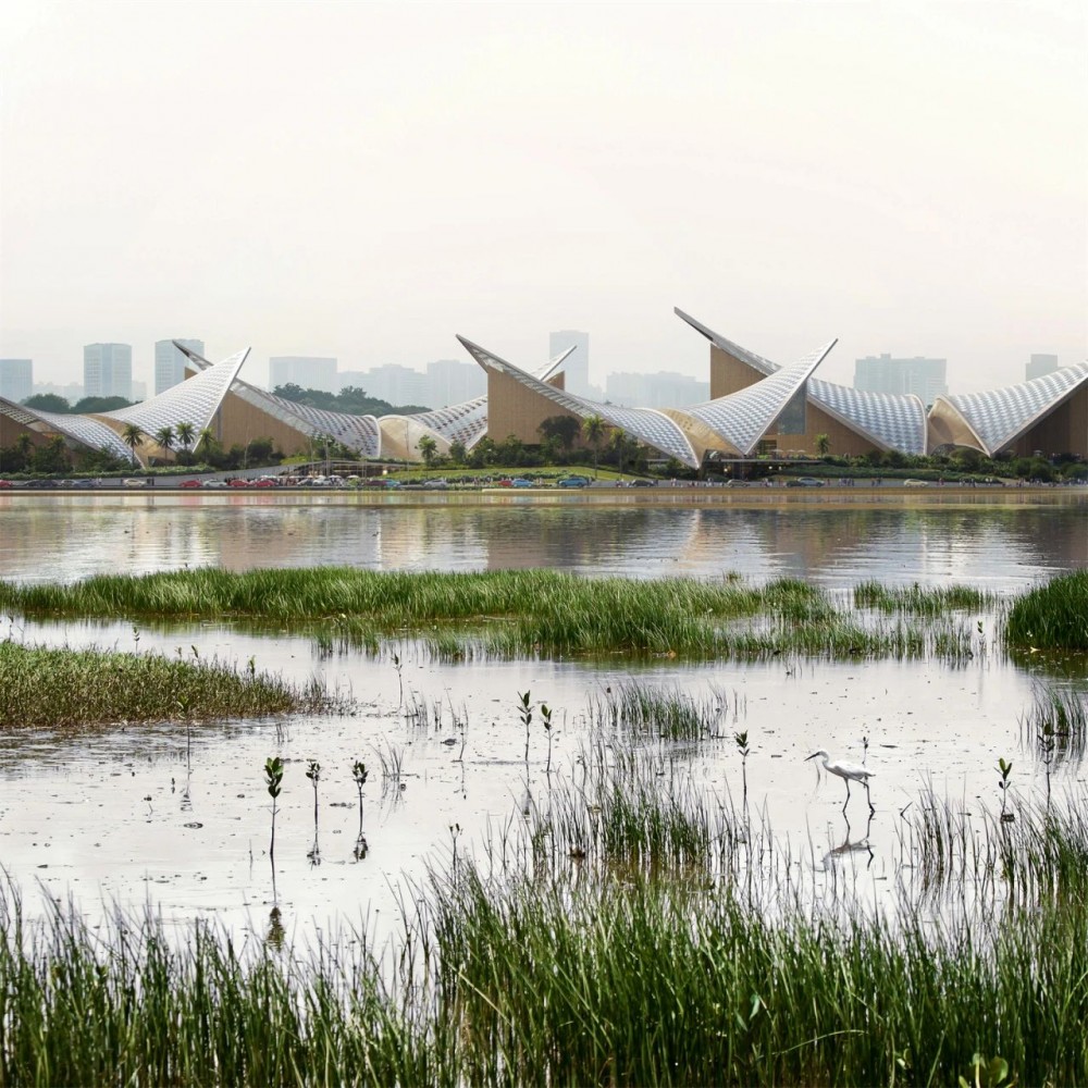 1690340736223003.jpg 1690340736223003.jpg