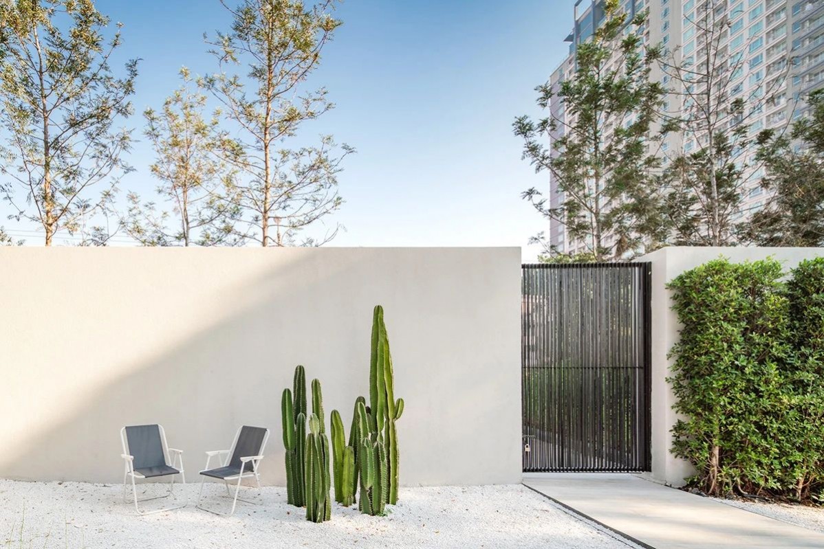 1692690822498451.jpg 1692690822498451.jpg