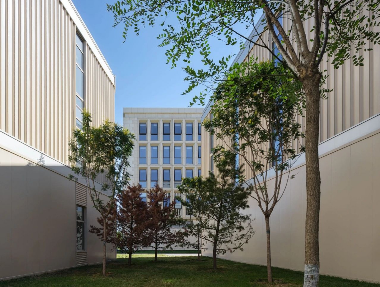 1698047000456634.jpg 1698047000456634.jpg