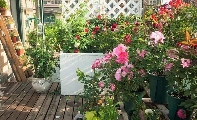 1704335314476653.png 1704335314476653.png